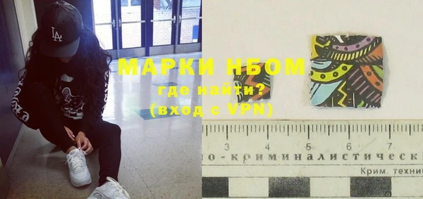 ПСИЛОЦИБИНОВЫЕ ГРИБЫ Белокуриха