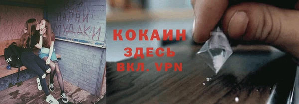 ПСИЛОЦИБИНОВЫЕ ГРИБЫ Белокуриха