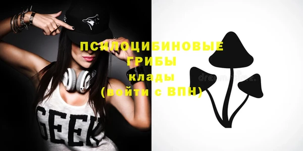 дживик Покачи