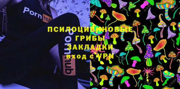 ПСИЛОЦИБИНОВЫЕ ГРИБЫ Белокуриха