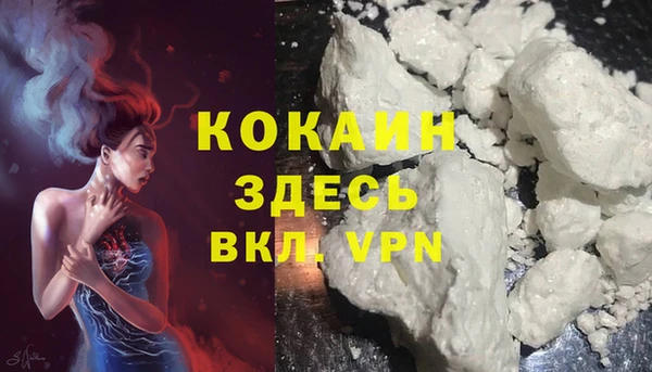 ПСИЛОЦИБИНОВЫЕ ГРИБЫ Белокуриха