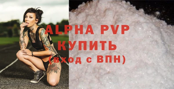 ПСИЛОЦИБИНОВЫЕ ГРИБЫ Белокуриха